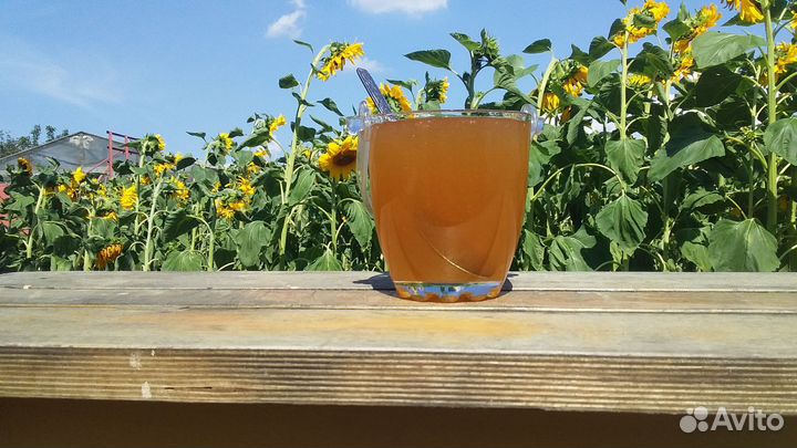 Мёд донниковый и гречишный