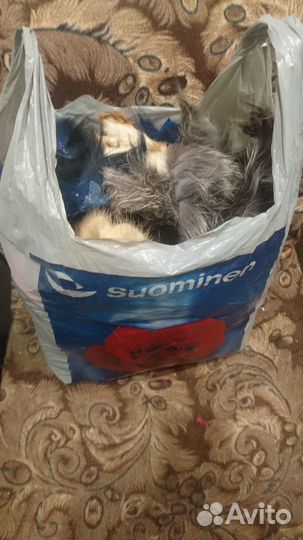 Натуральный шубный мех