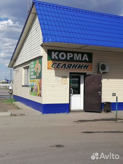 Пшеница, ячмень, овёс, отруби, кукуруза,комбикорма