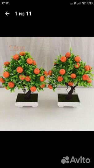 Интерьерное дерево-бансай