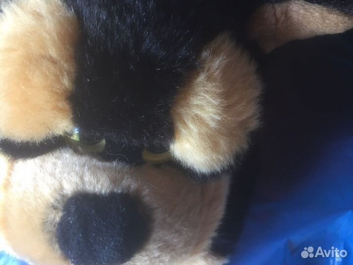 Собака. Мягкая игрушка