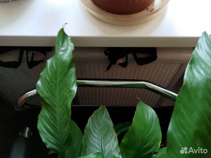 Экраны для чугунных батарей