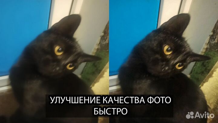 Улучшение качества фото, картинок