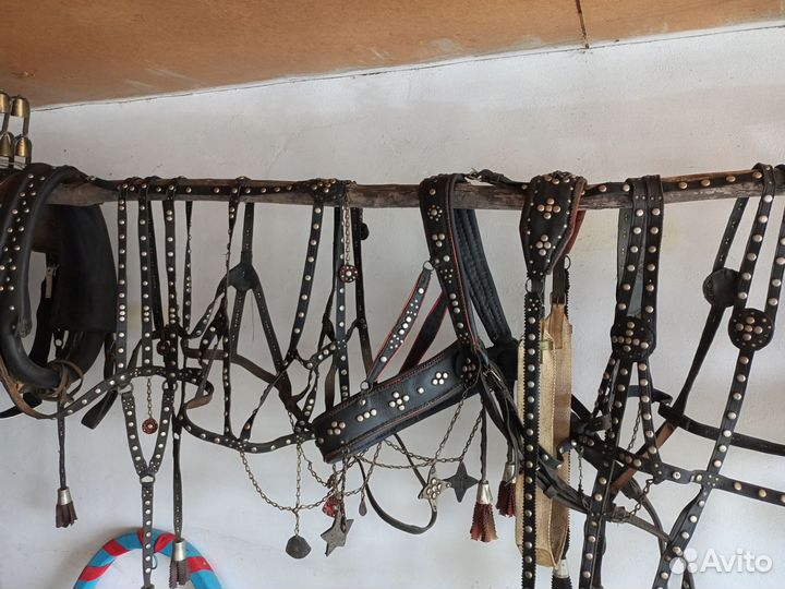 Выездная збруя на тройку