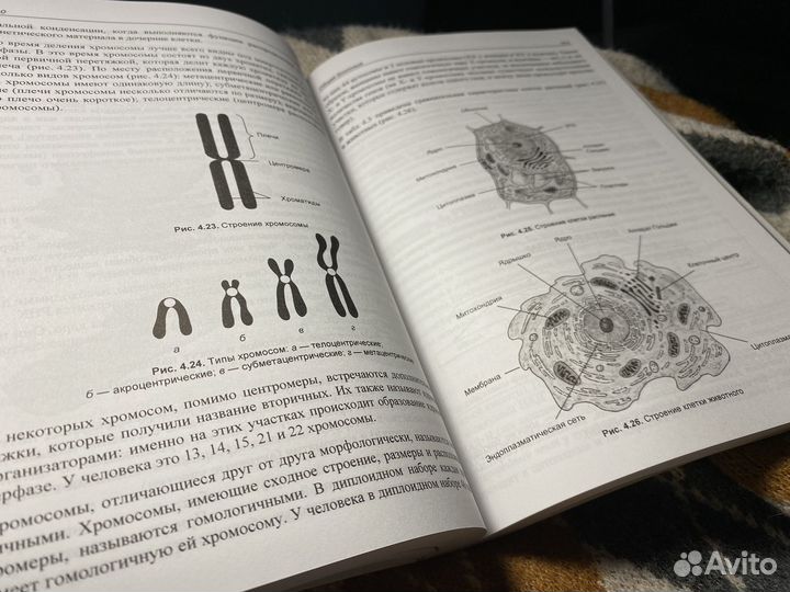 Д.А.Соловков егэ по биологии