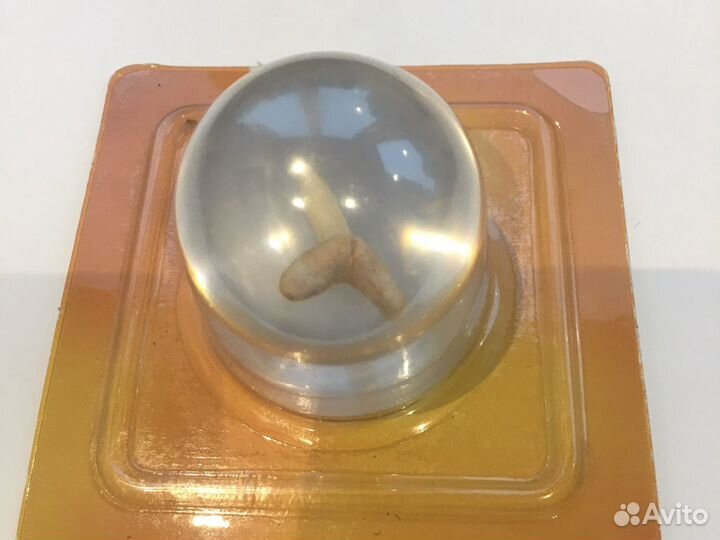 Зуб акулы в шаре стеклянном, новый