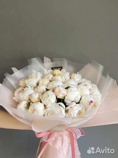 Пионы белый