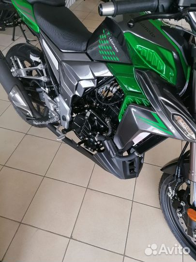 Мотоцикл Regulmoto T-Leopard 300 зелёный