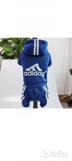 Костюм для собаки