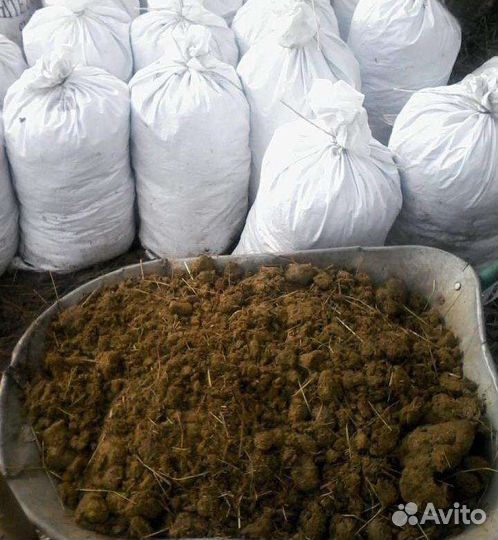 Навоз в Томске