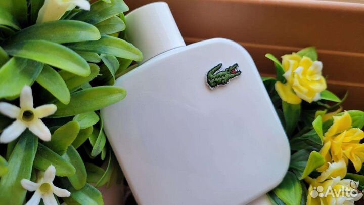 Lacoste духи white