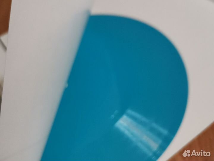 Гибкая пластинка с записями