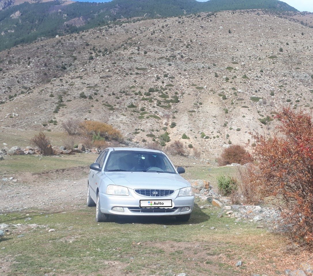 Hyundai Accent: фото владельца