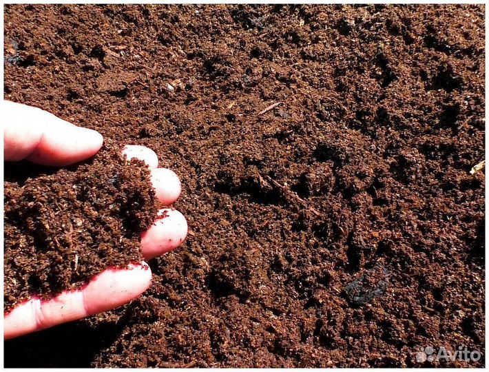 Продается навоз