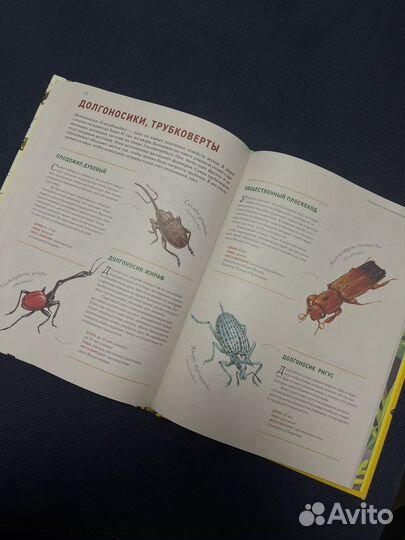 Энциклопедия