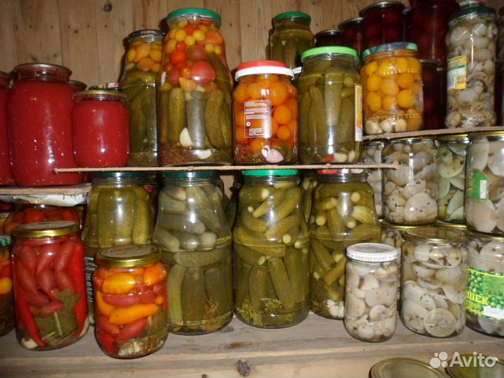 Грибы синяя ножка маринованные, домашние соления