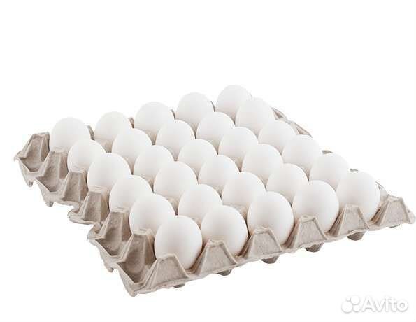 Яйцо (всегда свежее). Доставка