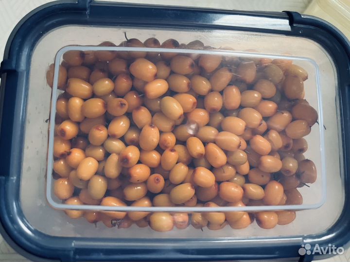 Ягода, Облепиха