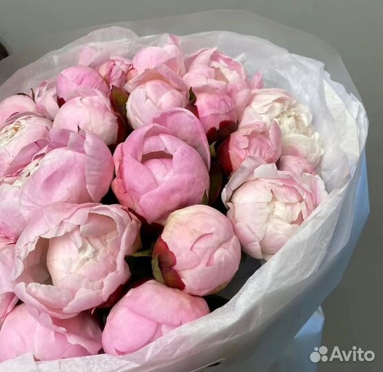 Букет пионов