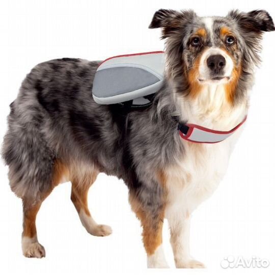 Асиндо Функциональный комплект: рюкзак с поводком