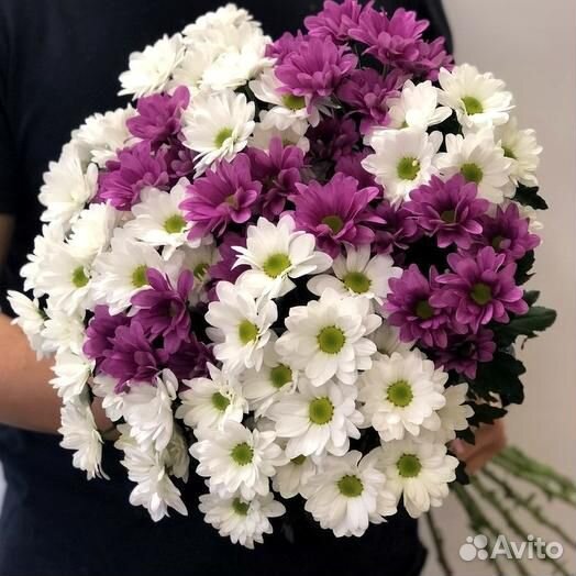 Букет сиреневых хризантем