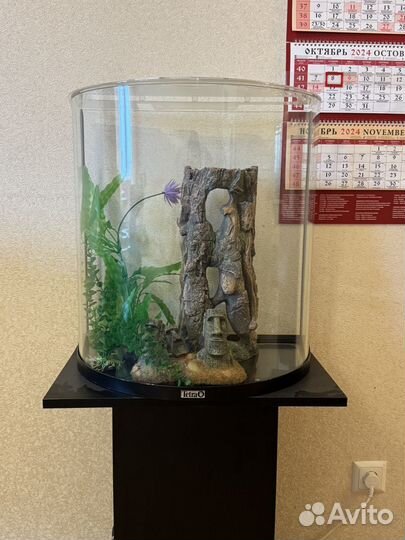 Аквариум+ автокорм