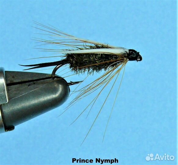 Муха рыболовная, нимфа