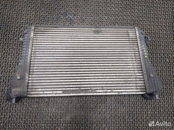 Радиатор интеркулера Audi A3 (8PA), 2005