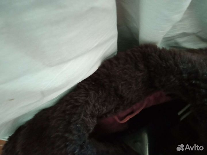 Детская Шуба