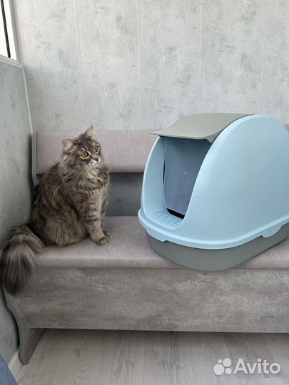 Лоток для кошек большой с крышкой закрытый дом