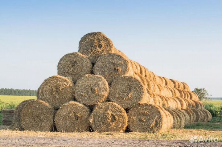 Сено В Армейском рулоны тюки