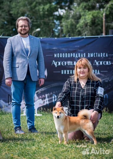 Услуги хендлера