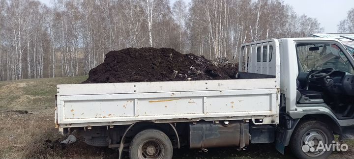 Перегной коровий