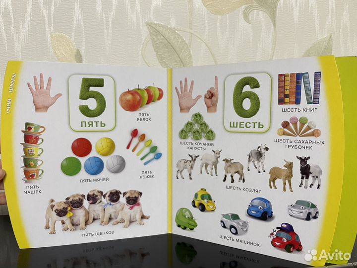Азбука Счёт книжки-картонки для малышей