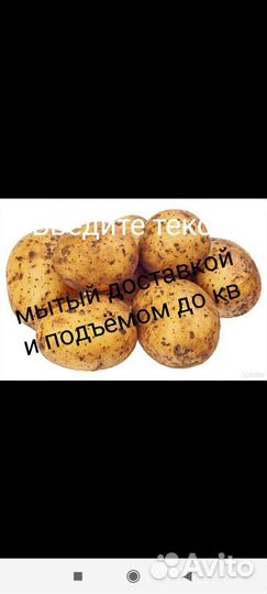 Картофель с Доставкой до двери