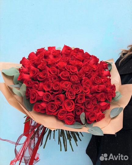 101 Роза цветы 201 101 51 Роза