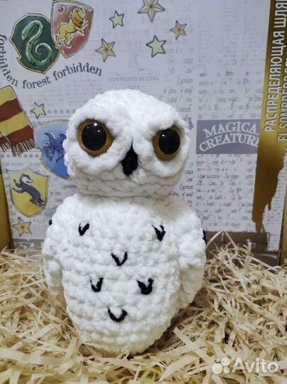 Сова Гарри Поттера Букля