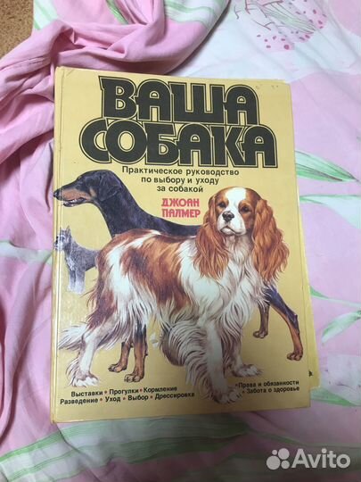 Джон палмер