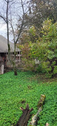 Участок 20 сот. (ИЖС)