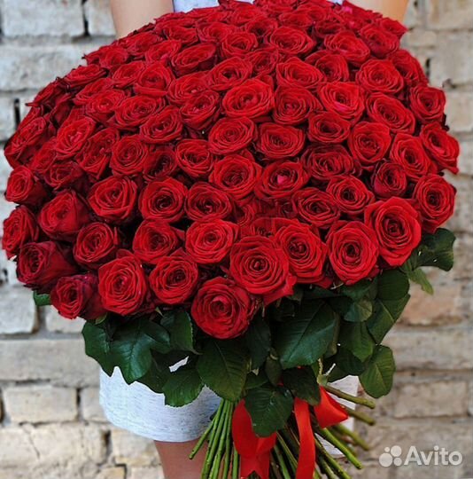 Розы 101 роза 51 роза Розы опт Цветы доставка