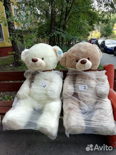 Плюшевые Медведи