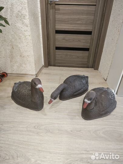 Гусь для охоты