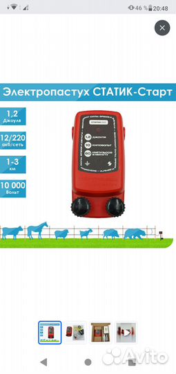 Элекропастух