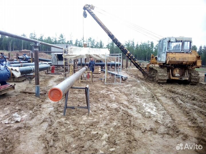 Руководитель проекта, технический директор