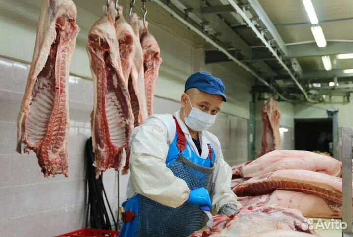 Ищу займ в мясокомбинат, доход 27'480 в месяц