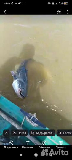 Рыбалка и отдых