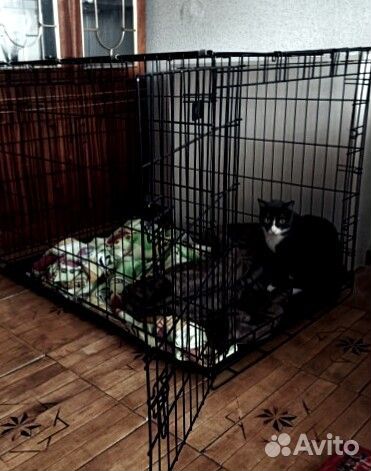 Клетка / вольер для собак