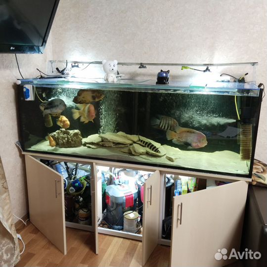Аквариум 650 литров