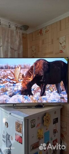 Телевизор новый 43 дюйма