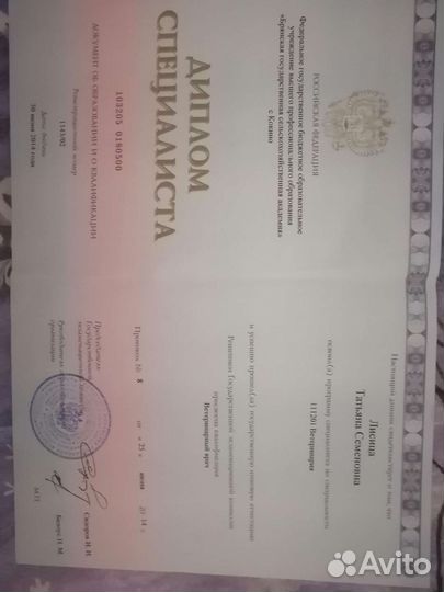 Консультация ветеринарного врача